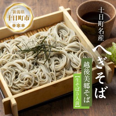 ふるさと納税 十日町市 越後美郷そば 5人前(150g×5束)めんつゆ付 新潟県 十日町市