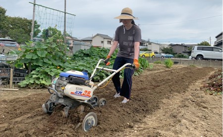 紅はるか伊丹の干し芋　丸250g・平180g　各１袋セット