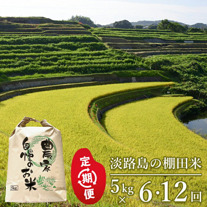 【ふるさと納税】【定期便】淡路島の棚田米　5kg×6回・12回・隔月6回