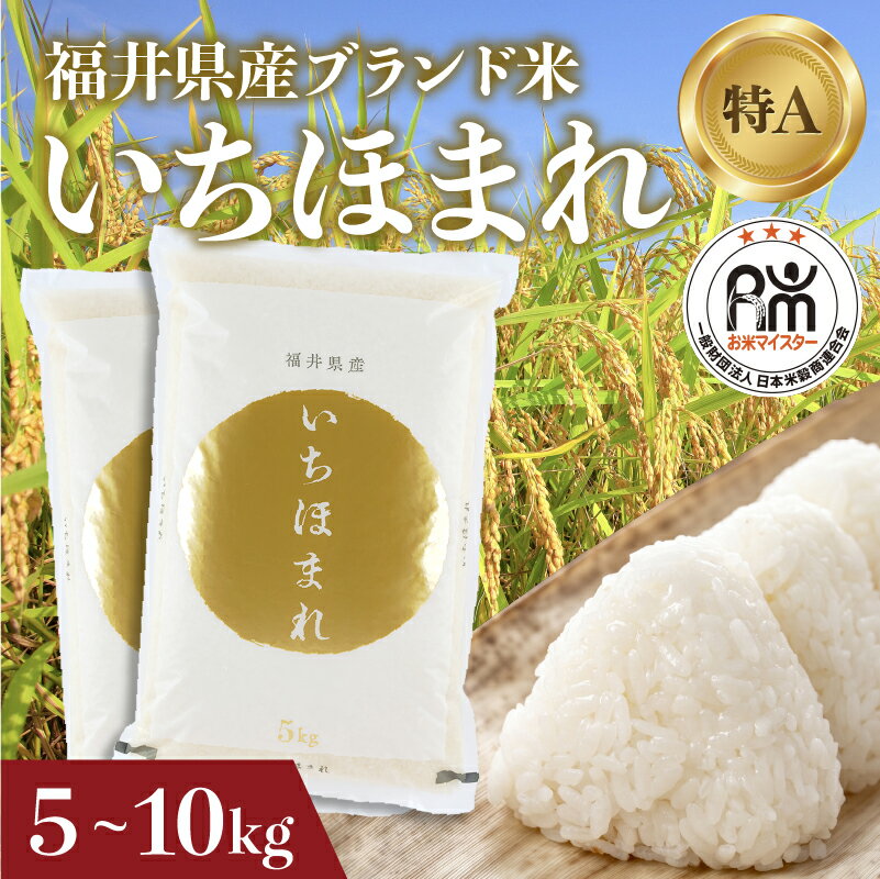 【ふるさと納税】 令和8年産 新米 いちほまれ 5kg / 10kg [C-02015] / お米 精米 白米 小分け 便利 ごはん コメ ブランド米 人気 品種 特A 5kg 10kg こしひかり コシヒカリ
