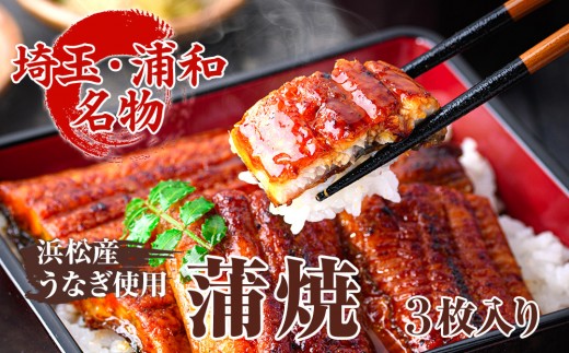 
                  【中村家】浜松産うなぎ　かば焼　3枚入【11100-0151】
                