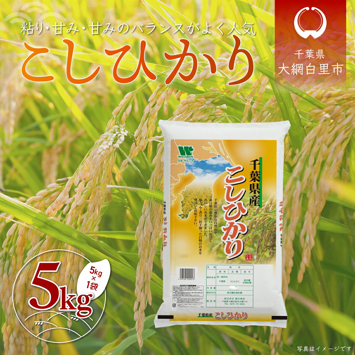 【ふるさと納税】【新米 先行受付】令和7年産 千葉県産「コシヒカリ」5kg（5kg×1袋） お米 5kg 千葉県産 大網白里市 コシヒカリ 米 精米 こめ 送料無料 A054