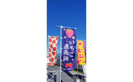 いちご狩り 大人2名 4品種栽培