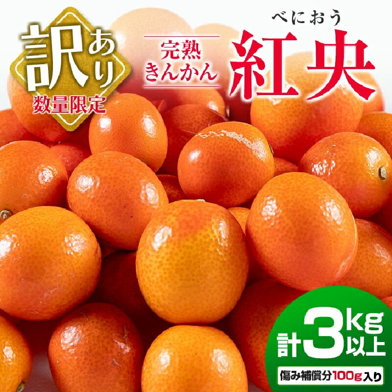 【ふるさと納税】訳あり 先行予約 完熟 きんかん 紅央 計3kg以上 傷み補償分入り フルーツ 果物 数量限定 期間限定 訳アリ くだもの 柑橘 金柑 おすすめ おすそ分け 国産 食品 デザート ブランド 希少 ご家庭用 ご自宅用 お取り寄せ 特産品 産地直送 宮崎県 日南市 送料無料