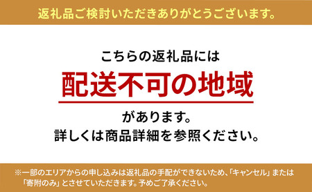 バーカウンターチェア チェック/ブラウン