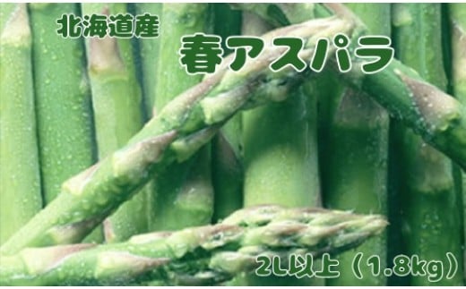 
            【2026年春発送】刀祢農園の朝採り春アスパラ　2L以上（1.8㎏）　グリーンアスパラ　朝採れ　農家直送　新鮮　甘い　春野菜　旬野菜　特産品　北海道産
          