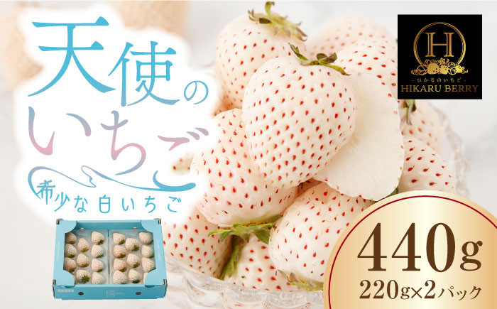 
【先行予約】【農家直送】味のバランスのよい希少な白いちご「天使のいちご」220g×2パック【ひかるのうえん】 [IBI001]
