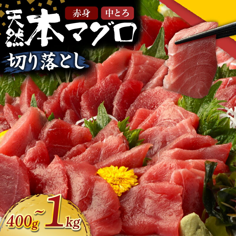 【ふるさと納税】 【容量選べる】本マグロ 赤身 中とろ 切り落とし 400g～1kg 1パック100g 小分け 冷凍 天然まぐろ 鮪 刺身 刺し身 ふるさと納税魚介 寿司 惣菜 海鮮丼 魚介類 ふるさと納税まぐろ 訳あり ふるさと納税海鮮 漬け丼 不揃い マグロ漬け丼 規格外 10000円 人気