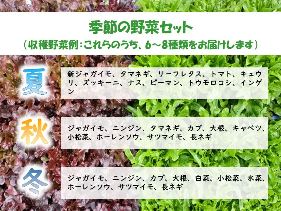  くさぶえ農園 季節の野菜セット