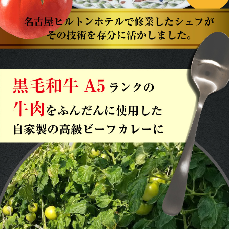 
            お肉屋さんのトマト入りビーフカレー　5袋
          