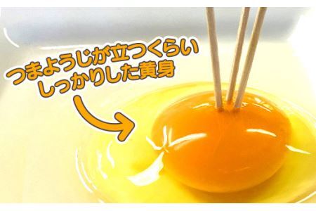 【最短翌日発送】＼２～５日以内発送／ 初たまご プレミアムひまわりたまご54個程度※破卵補償