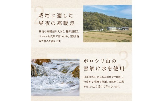 【先行予約】 令和8年産 【ゆめぴりか】(白米)5kg×2袋〈11月配送〉北海道南るもい産 特A おとりよせ こめ 北海道 新米 もちもち おいしい 送料無料 コメ 産地直送 R011-008-R811