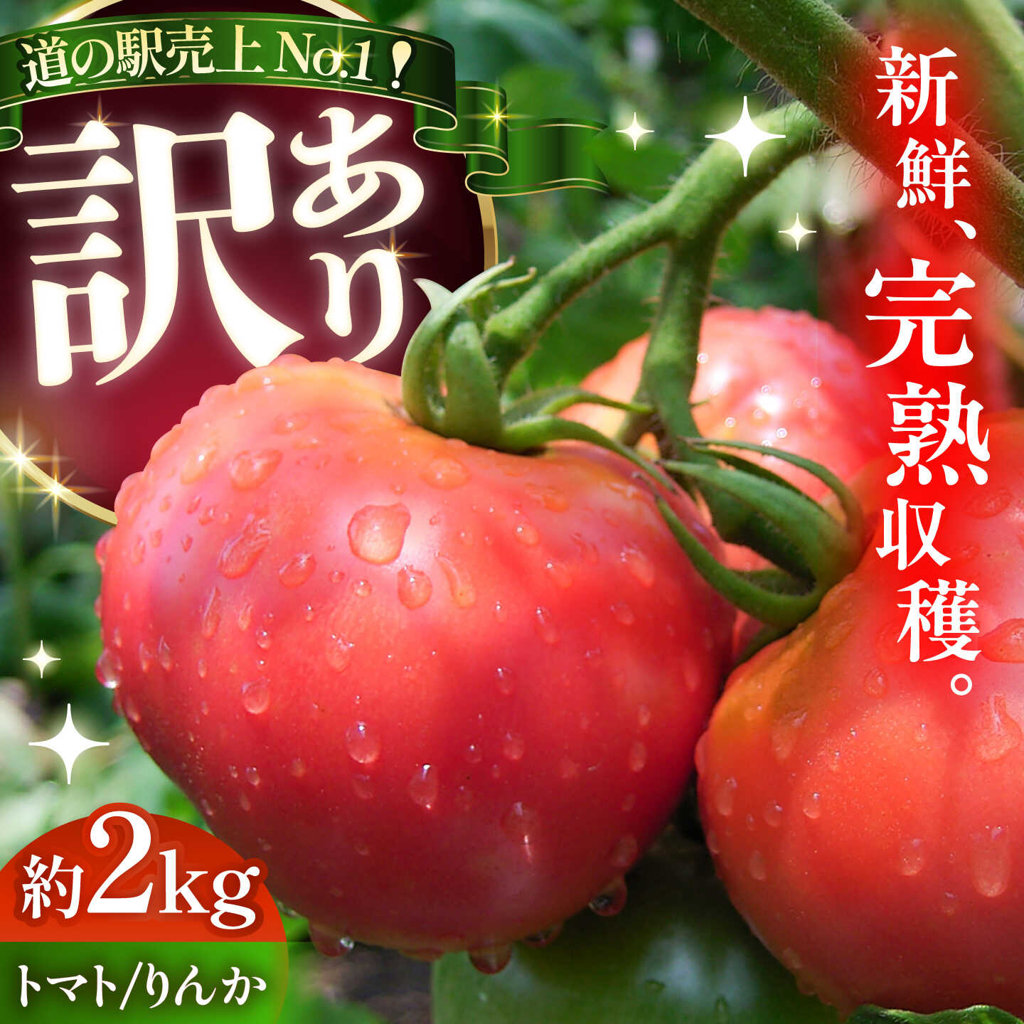 【ふるさと納税】【訳あり】【8月中旬より順次発送】 トマト りんか 約2キロ / マト 訳あり 訳アリ お取り寄せ 産地直送 とまと トマト 野菜 やさい 不揃い 傷あり 訳アリ 恵那市 / 馥郁農園[AUCK013]