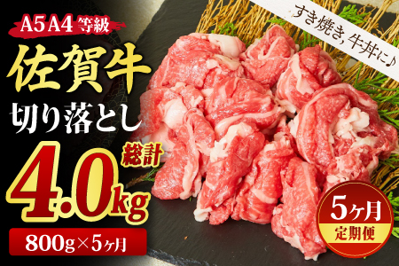 【5回定期便】佐賀牛 贅沢 切り落とし 800g（合計4kg）【すき焼き 牛丼 A5 A4 希少 国産和牛 牛肉 肉 牛】(H085186)