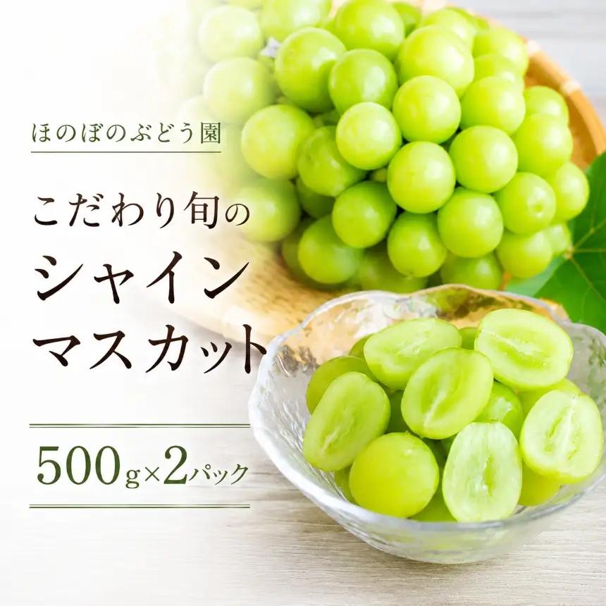 美浜町産 こだわりシャインマスカット 500g×2 | 先行予約 ぶどう 愛知県 美浜町
