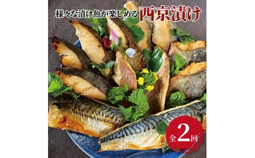 
                  定期便 2ヵ月 西京漬け 詰め合わせ 銀鱈西京焼き 西京焼き ミックス盛り Jr&花子 漬け魚 漬魚 西京味噌 西京味噌漬け 魚 焼き魚 切身 和食 おかず 惣菜 ご飯のお供 おつまみ [№5412-0417]
                