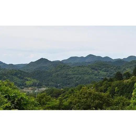 法皇キャビア（20ｇ）桐箱入り　4個セット