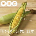 【ふるさと納税】≪令和7年産予約受付！≫美瑛産とうもろこし(黄) 12本　野菜　送料無料　美瑛　北海道美瑛　北海道美瑛町　美瑛町　美瑛産　北海道産　とうもろこし　スイートコーン　わくわくコーン　とうきび　おおとり[014-73]