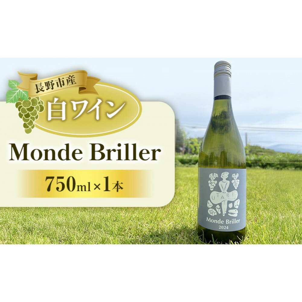【ふるさと納税】Monde Briller　GW（ワイン）