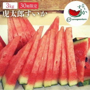 【ふるさと納税】数量限定 糸島産温室栽培 虎太郎西瓜（こたろうすいか）【スイカ 甘い ジューシー シャリシャリ】 [AIC002]