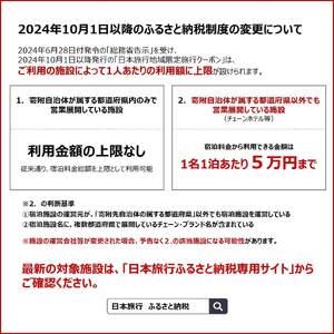大分県 日本旅行 地域限定旅行クーポン (30,000円分) 観光 旅 旅行 宿泊 ホテル 旅館 温泉 おんせん 【am002】【日本旅行】