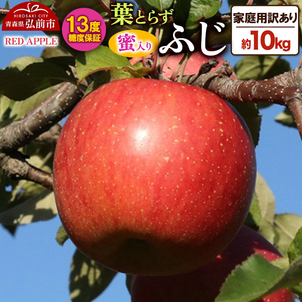 【ふるさと納税】【26年12月上旬〜発送】りんご 13度糖度保証【訳あり】家庭用 蜜入り 葉とらずふじ 約10kg 先行受付 [アップル おいしい ふじ りんご 果実 果物 赤色 糖度 美味 葉っぱ 葉とらず 林檎]