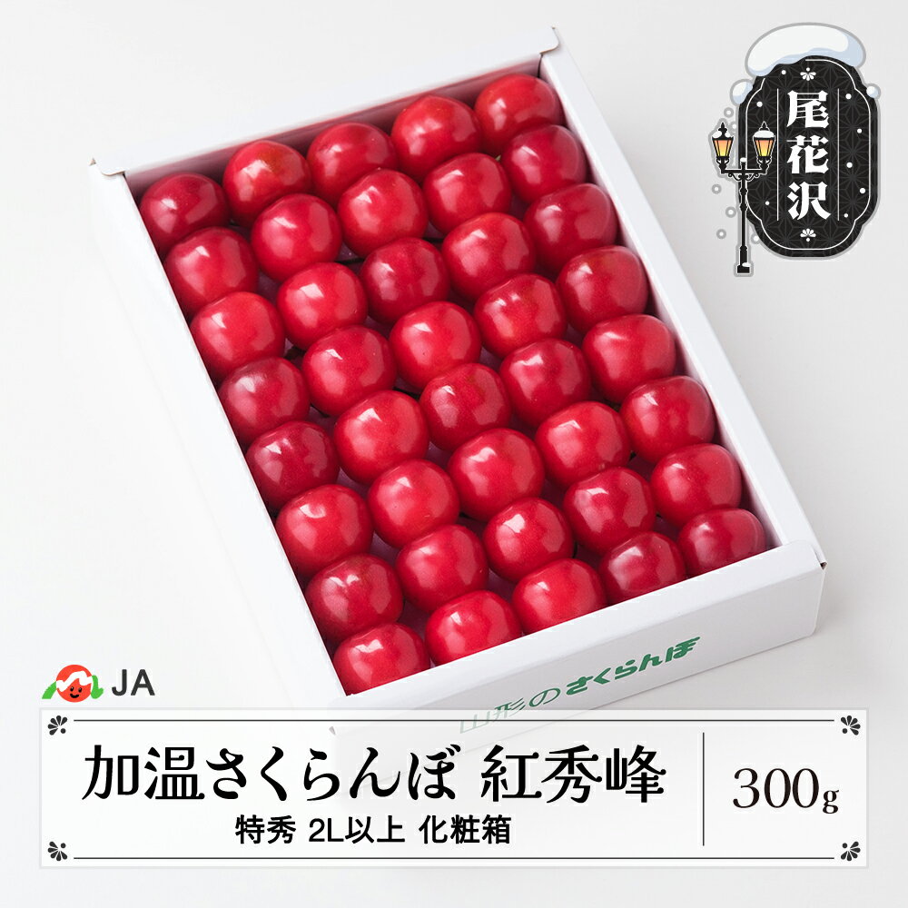 【ふるさと納税】先行予約 加温 ハウス栽培 さくらんぼ 紅秀峰 300g 化粧箱 特秀2L玉以上 早出し 2026年産 令和8年産 山形県産 ギフト プレゼント 贈答 送料無料 サクランボ ja-bsk2x300