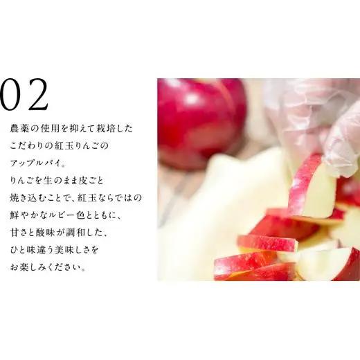アップルパイ （ ホール 直径 20ｃｍ ） 自家製 ケーキ [BL001tu]
