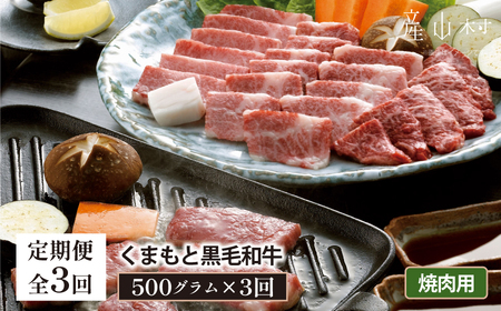 【定期便3回】くまもと黒毛和牛　焼肉用　500ｇ