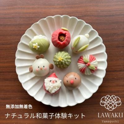 ふるさと納税 山口市 ナチュラル和菓子体験キット(こしあん&amp;チョコあん) D075
