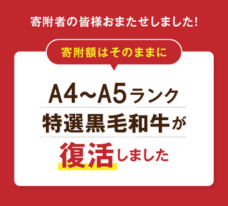 S001-001-T06A_【定期便6回】黒毛和牛切り落とし1kg（500g×2P）6か月連続お届け