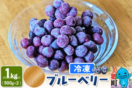 くろかわ農園 冷凍ブルーベリー 1kg（500g×2パック） 秋田県美郷町