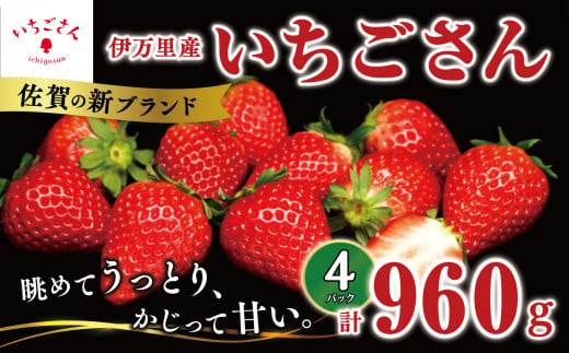 
【佐賀県伊万里産】「いちごさん 960g」240g×4パック
