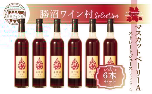 マスカットべーリーA ストレートジュース6本セット（KWV)E2-621