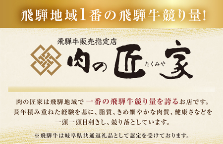 【 定期便 】 A5 飛騨牛 プレミアム 3回 計1.5kg 飛騨牛 [S609]