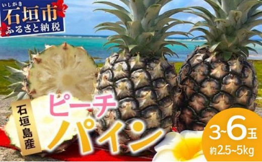 
                  【先行予約】《2026年5月上旬頃より順次発送》石垣島産 ピーチパイン  約2.5~5kg
                