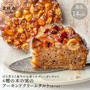 【ふるさと納税】 お菓子 ケーキ タルト ヴィーガン 乳 卵 不使用 4種 木の実 アーモンド クリーム タルト ホール 健康食品