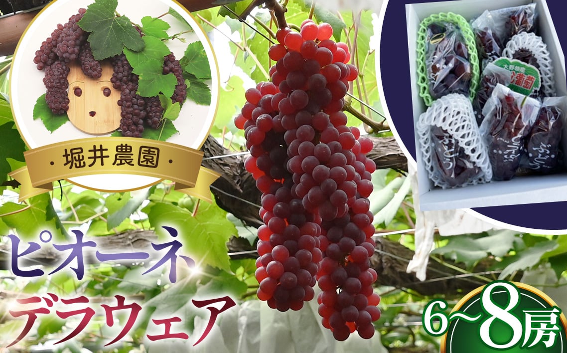 
            No.311 ピオーネ2房とデラウエアの詰め合わせ ／ 甘い セット 果物 果実 フルーツ ブドウ ぶどう 葡萄 大阪府
          