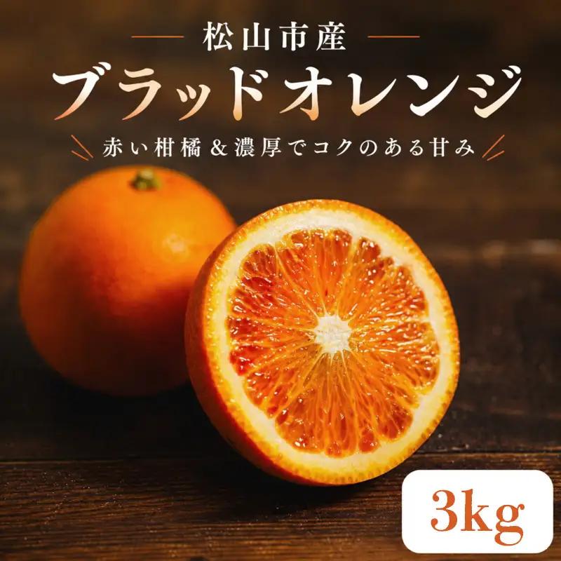 【2027年3月中旬頃から順次発送】  ブラッドオレンジ 3kg ｜愛媛 タロッコ 果物 ビタミン 健康 フルーツ 柑橘 農家直送 産地直送 数量限定  松山  くだもの 果実 有名 みかん 愛媛県産 瀬戸内 デザート スイーツ おすすめ 国産 青果 酸味 果汁 果肉 蜜柑 ミカン あかい 松山市産みかん 甘い 美味しい お取り寄せ グルメ ギフト 期間 ご当地 愛媛県 松山市 【HMN0031】