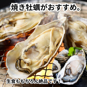 【生食用殻付き】 牡蠣 2kg 冷凍 真牡蠣
