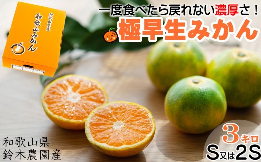 【極早生みかん】ゆら早生みかん 3kg 小粒サイズ（S・2S） 和歌山県海南市より産地直送 YN26