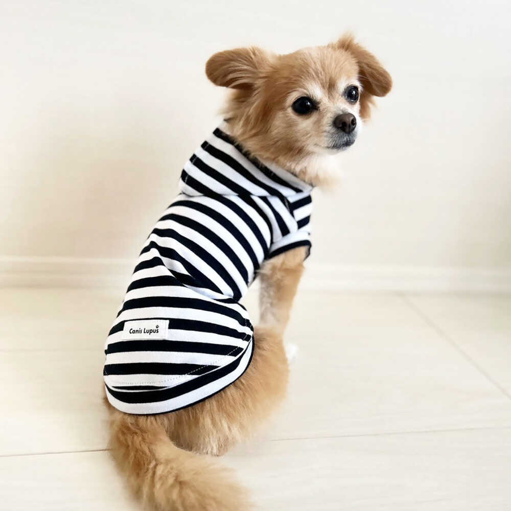 【ふるさと納税】ボーダーパーカー ホワイト×ブラック（ワンちゃん用）（SS/S/MM/Mサイズ） / ドッグウェア ペット用品 犬用 服 お揃い ボーダー / 佐賀県 / Canis Lupus[41AAAN013]