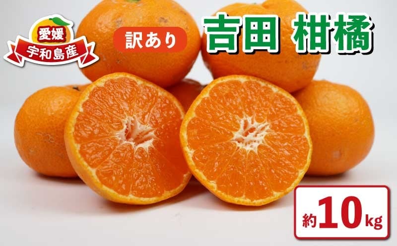 
            みかん 訳ありみかん 約 10kg フレッシュつちやま 吉田柑橘 愛媛産 愛媛県産 愛媛みかん 愛媛蜜柑 愛媛ミカン みかん 蜜柑 柑橘 愛媛みかん mikan フルーツ 宇和島みかん 果物 くだもの お取り寄せ 産地直送 数量限定 温州みかん みかん 糖度 人気 甘い 訳あり品 訳アリ 訳有 わけあり 国産 愛媛 宇和島 B010-096035
          