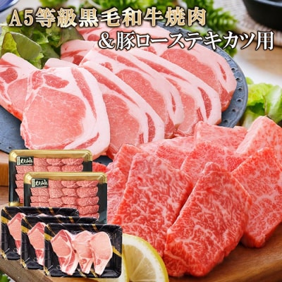 鹿児島県産A5等級黒毛和牛焼肉＆豚ローステキカツ用 C0-19【配送不可地域：離島】