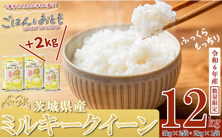 ”ごはん と おとも”【数量限定】茨城県産 ミルキークイーン 精米 12kg ＋ 肉感オシ3品（①ハンバーグ 1.2kg 6個、②ハム・ウインナー等 690g 4種、③国産うなぎ蒲焼 1尾 特上 27