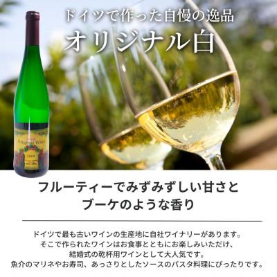 ふるさと納税 岡垣町 ぶどうの樹のオリジナル赤&amp;白ワインセット