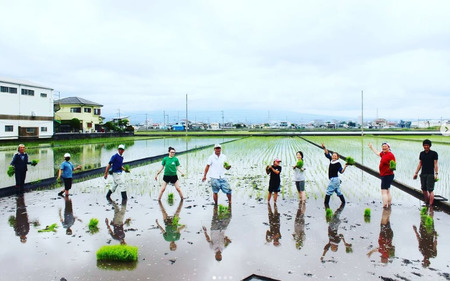 令和7年産 新米 ゆめみしま 精米 5kg 新米