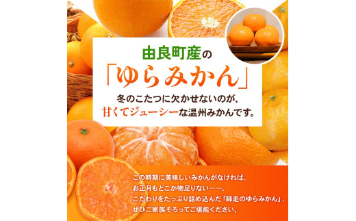  ゆらみかん 2kg / 温州みかん 和歌山県 柑橘 みかん 甘い 蜜柑 フルーツ 果物 くだもの 食品 人気   おすすめ 送料無料 産地直送 由良町 ※2026年11月下旬頃から12月上旬頃に順次