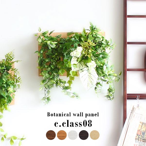 Botanical c.class 08　ホワイトウッド
