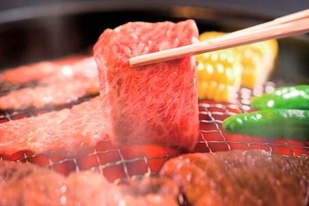 【京丹波・丹波牛】焼肉用 500g 3~4人前 国産和牛 【2026年1月中旬以降発送】 [025IZ001]